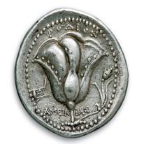 Ακόμη η ελιά εικονίζεται στα νομίσματα της Αθήνας, αφού η ελιά, δέντρο διαδεδομένο στην Αττική γη, ήταν το δώρο της θεάς Αθηνάς προς την πόλη.