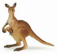 20. The Kangaroo makes 10 jumps in 1 minute and rests 3 minutes after, then he