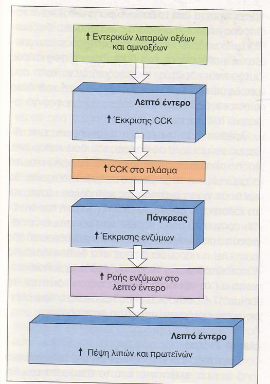 Oρμονική ρύθμιση της