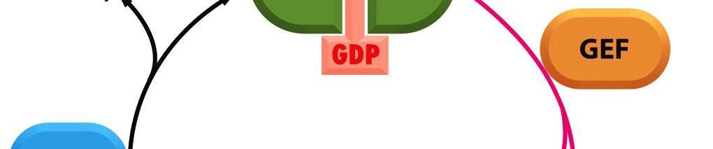 επιβάλλοντας την απομάκρυνση της GDP