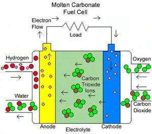 2. ΚΕΛΙΑ ΚΑΥΣΙΜΟΥ (FUEL CELLS) ΓΕΝΙΚΑ ΣΤΟΙΧΕΙΑ χρειάζεται να ανακυκλοφορεί και να τροφοδοτείται στην κάθοδο µαζί µε το οξειδωτικό µέσο ώστε να διατηρείται σταθερή η σύνθεση του ηλεκτρολύτη.