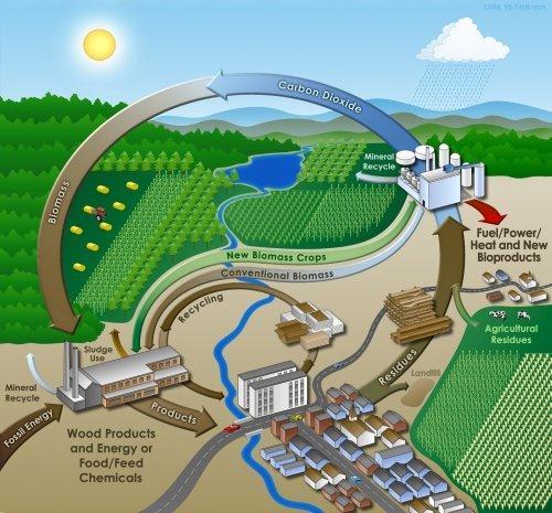 Uvod Biomasa = obnovljiv izvor energije i CO 2 neutralna 2,5 kg drvene biomase (cca. 20% vlage) = 1 lit.