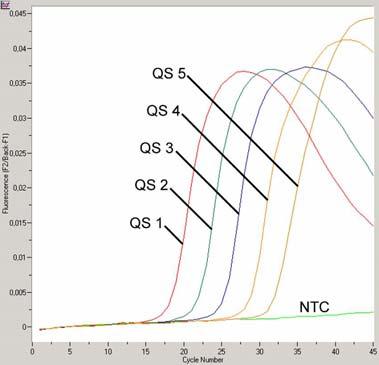 Εικ. 6: Ανίχνευση των προτύπων ποσοτικοποίησης (Parvo B19 LC QS 1 5) στο κανάλι φθορισμόμετρου F2/Back-F1. NTC: non-template control (αρνητικό πρότυπο). Εικ.