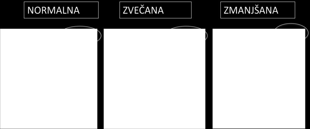 Ultrazvok ščitnice: s pomočjo ultrazvoka ocenimo velikost, strukturo in prekrvljenost ščitnice ter morebitne spremembe v ščitnici.