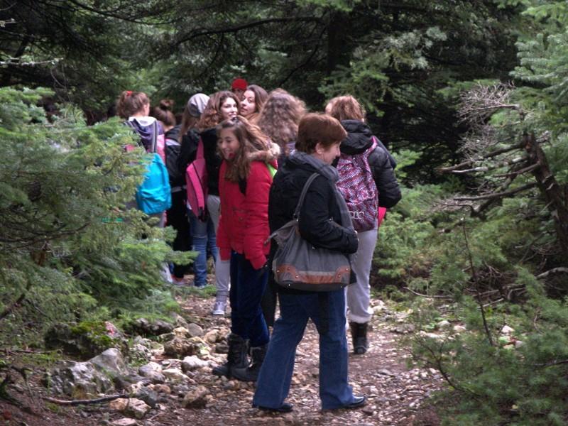 Συζητήσαμε με τους ξεναγούς μας για τα προβλήματα του Δρυμού και μας μοίρασαν