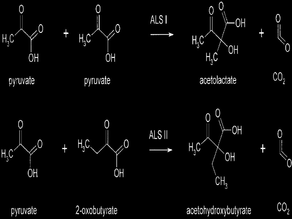 Ανθεκτικότητα σε sulphonylureas/ imidazolinones