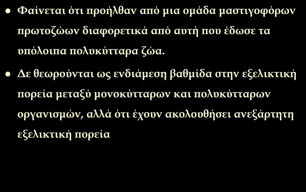 Εξελικτική πορεία των σπόγγων Υαίνεται ότι προήλθαν από μια ομάδα μαστιγοφόρων πρωτοζώων διαφορετικά από αυτή που έδωσε τα υπόλοιπα πολυκύτταρα ζώα.