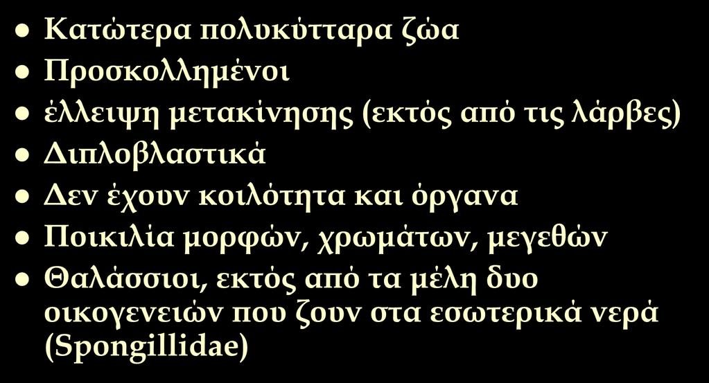 Φαρακτηριστικά των σπόγγων Κατώτερα πολυκύτταρα ζώα Προσκολλημένοι έλλειψη μετακίνησης (εκτός από τις λάρβες) Διπλοβλαστικά Δεν έχουν