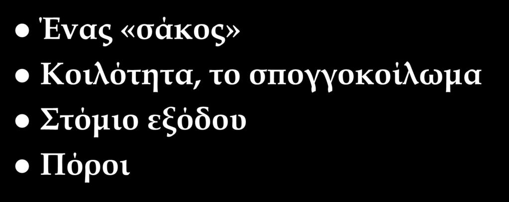 Μορφή σώματος Ένας «σάκος»