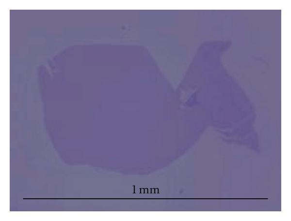 HOPG υποβλήθηκε σε επίδραση πλάσματος οξυγόνου για την δημιουργία mesas βάθους 5 μm, τα οποία στην συνέχεια συμπιέστηκαν σε ένα στρώμα φωτοανθεκτικού υλικού.