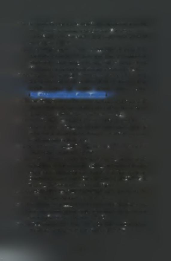 Pryor, M., Parsons, G. J., Couturier, C. (1999) Temporal patterns of larval and postset distributions of the blue mussel(a7yfi/ws edulis/ M.