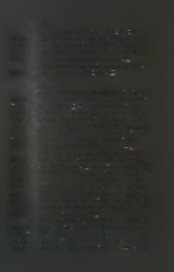 1.1.5 Γονιμότητα Η γονιμότητά του είναι μεγάλη και ένα θηλυκό Μ. edulis (L: 7cm) μπορεί να παράγει 7-8X106 ωάρια σε μια ωοτοκία ενώ μεγαλύτερα σε μέγεθος μύδια μπορούν να παράγουν 40X106.