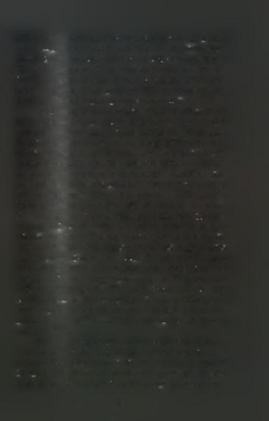 ενώ μειώνεται σε μεγάλες συγκεντρώσεις του της τάξεως των 40-50 mg Γ (Frechette & Grant, 1991). Το οργανικό διαλυμένο υλικό μπορεί επίσης να προσδώσει ενέργεια στα μύδια (Manahan et al.
