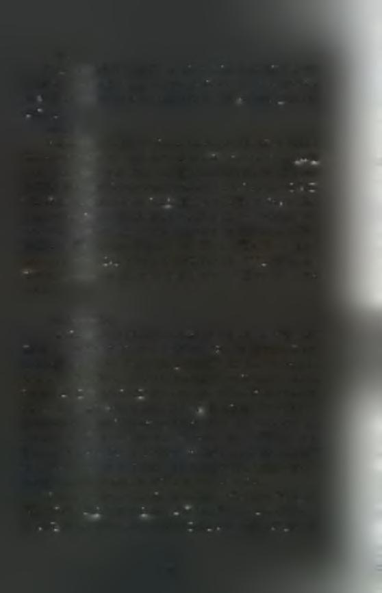 Φως Το φως επηρεάζει την ανάπτυξη του μυδιού.