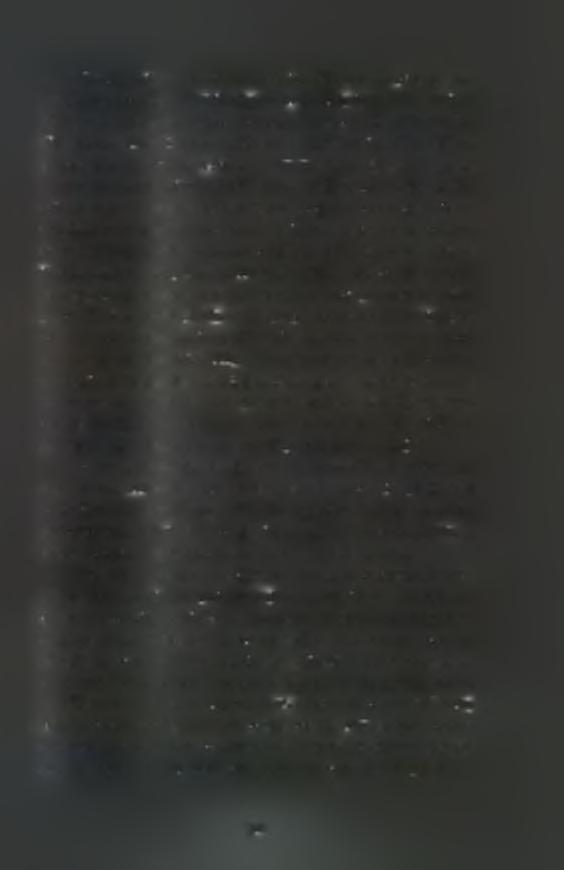 Ο λόγος του διαλυμένου αζώτου προς το διαλυμένο φώσφορο (Ν:Ρ) έχει πολύ χαμηλές τιμές, με μέση τιμή 0,6 (άνοιξη) και 4,9 (χειμώνα) (Pagou et al.