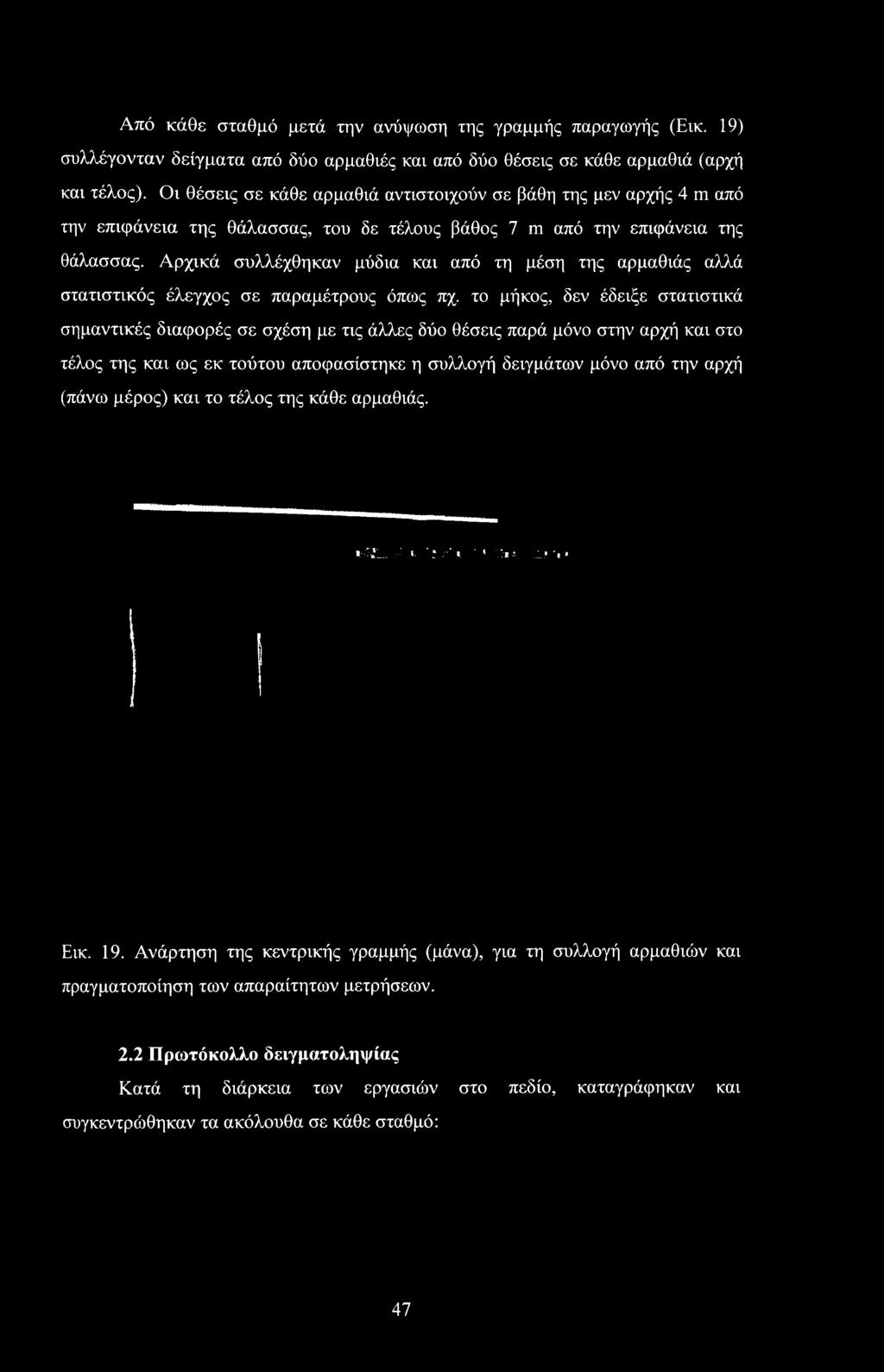 το μήκος, δεν έδειξε στατιστικά σημαντικές διαφορές σε σχέση με τις άλλες δύο θέσεις παρά μόνο στην αρχή και στο τέλος της και ως εκ τούτου