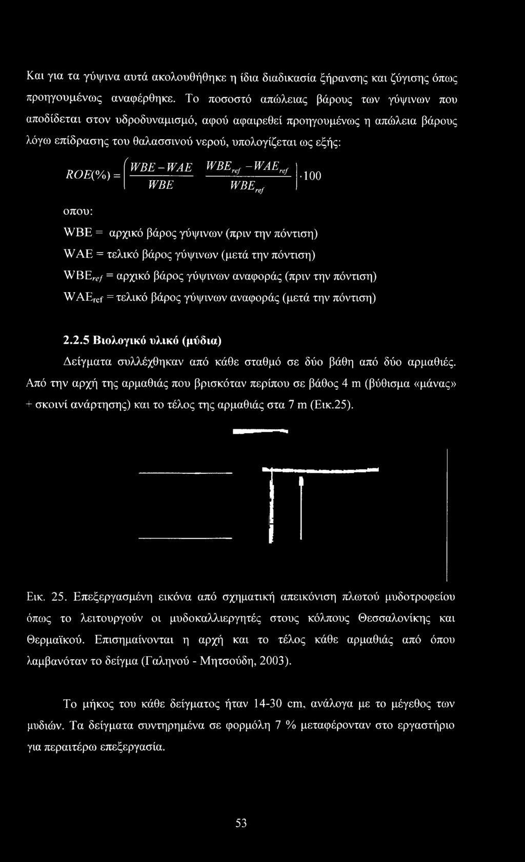 Από την αρχή της αρμαθιάς που βρισκόταν περίπου σε βάθος 4 m (βύθισμα «μάνας» + σκοινί ανάρτησης) και το τέλος της αρμαθιάς στα 7 m (Εικ.25). Εικ. 25.