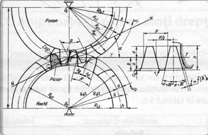 Relaţia generală care exprimă raportul de transmitere este: Teoretic, s d = s g, practic însă, egalitatea acestor dimensiuni ar putea produce blocarea angrenajului, din cauza erorilor de execuţie şi