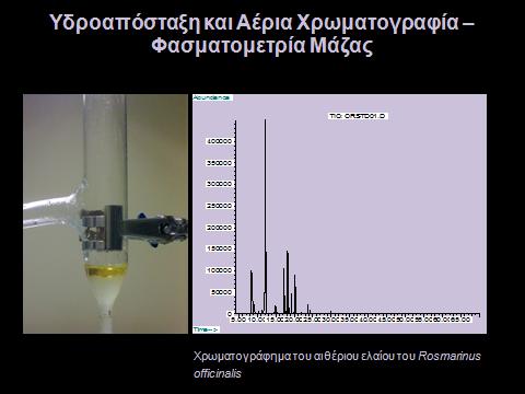 ΕΛΕΓΧΘΗΚΑΝ