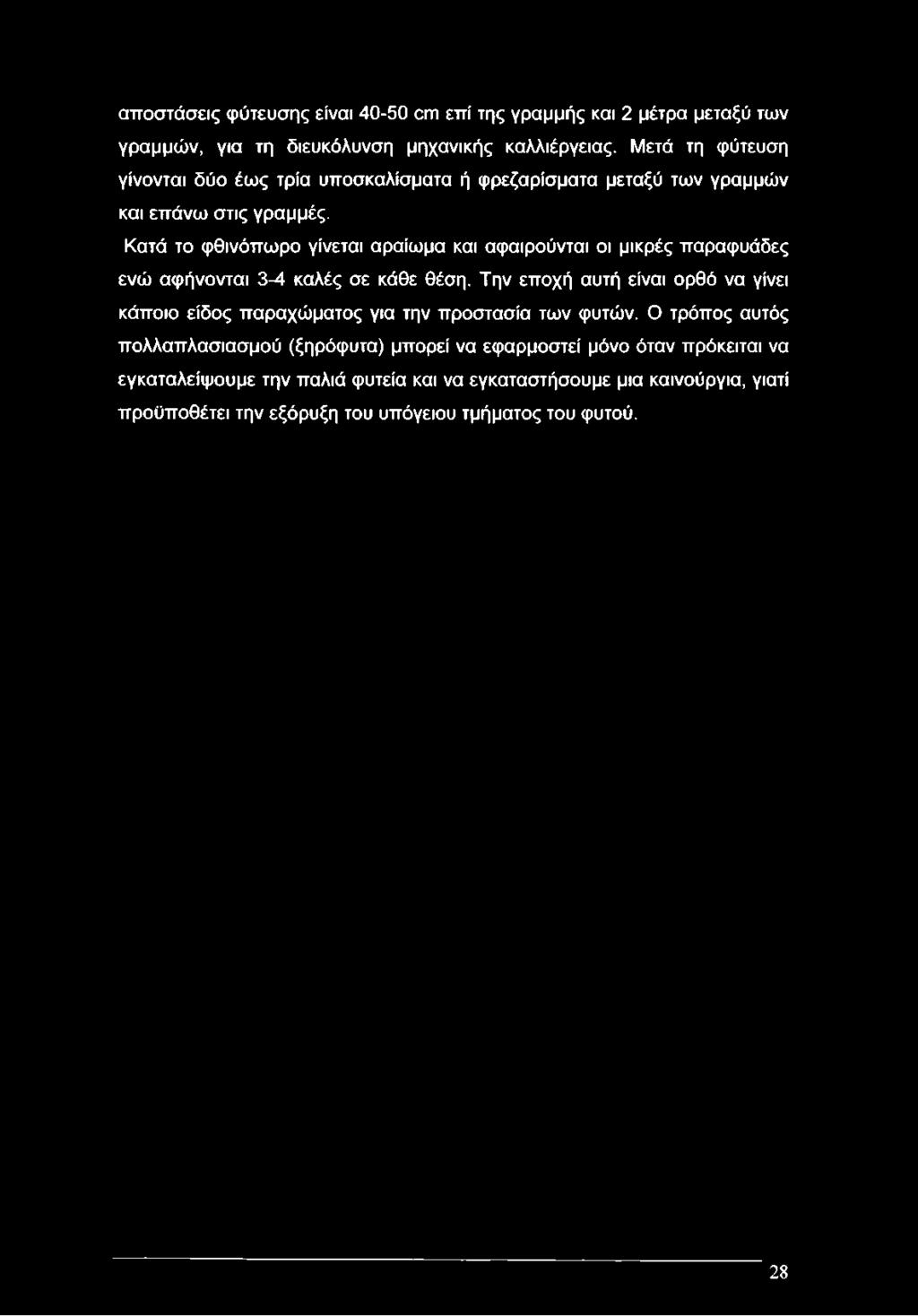 Κατά το φθινόπωρο γίνεται αραίωμα και αφαιρούνται οι μικρές παραφυάδες ενώ αφήνονται 3-4 καλές σε κάθε θέση.