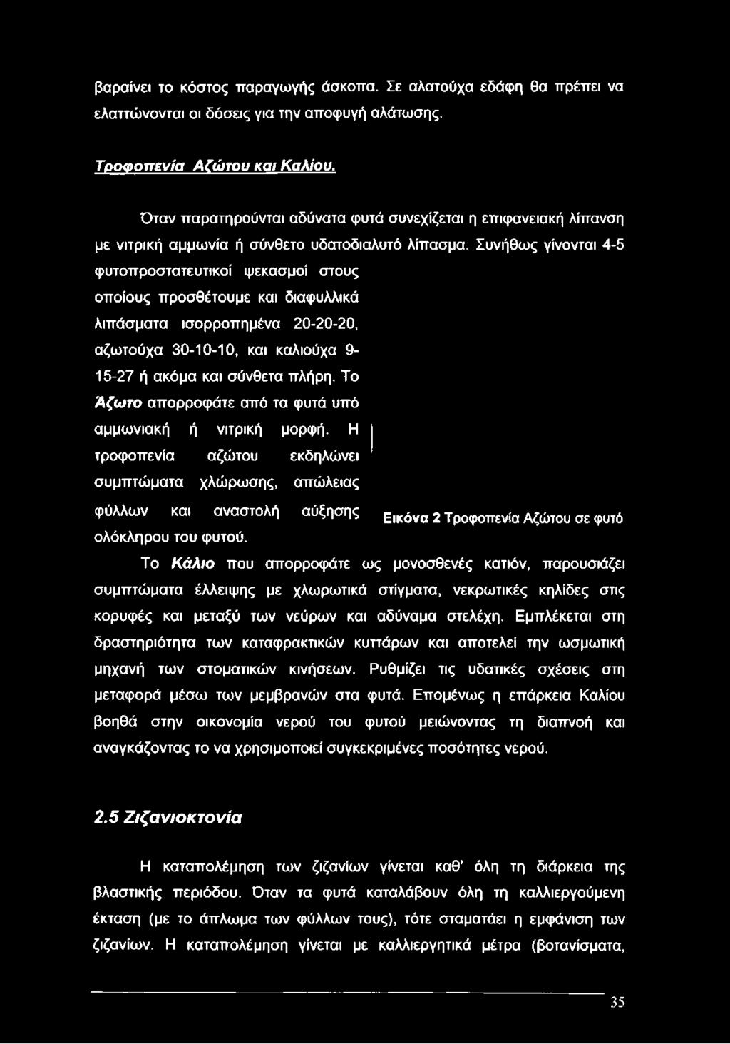 Συνήθως γίνονται 4-5 φυτοπροστατευτικοί ψεκασμοί στους οποίους προσθέτουμε και διαφυλλικά λιπάσματα ισορροπημένα 20-20-20, αζωτούχα 30-10-10, και καλιούχα 9-15-27 ή ακόμα και σύνθετα πλήρη.