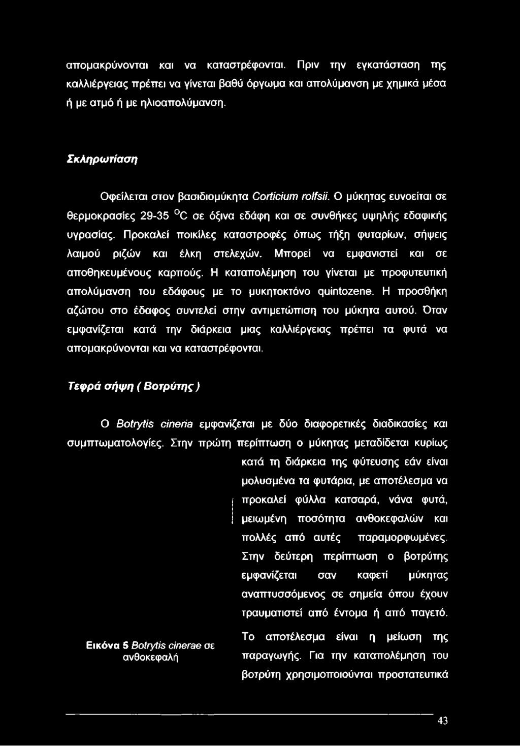 Όταν εμφανίζεται κατά την διάρκεια μιας καλλιέργειας πρέπει τα φυτά να απομακρύνονται και να καταστρέφονται.