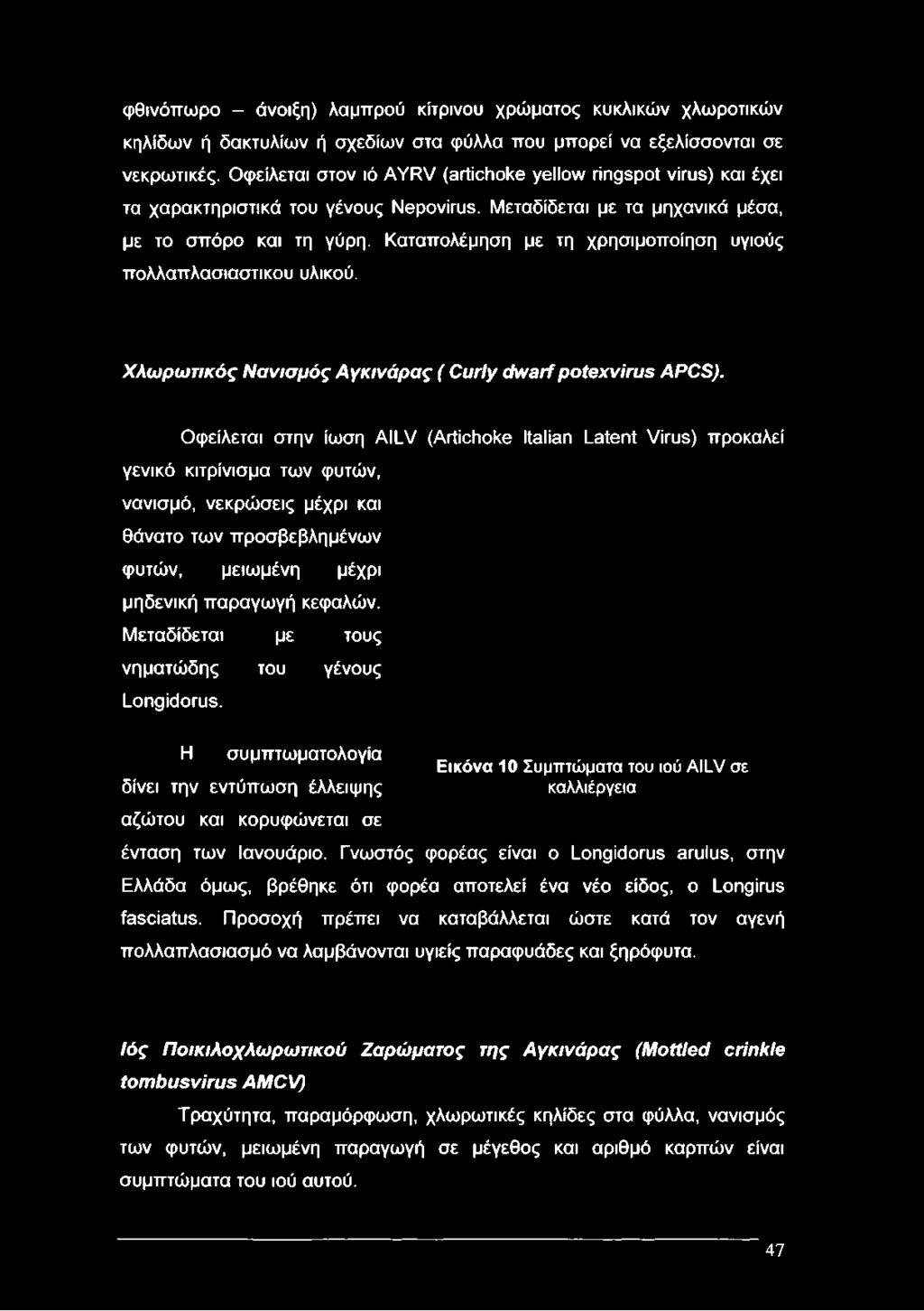 Καταπολέμηση με τη χρησιμοποίηση υγιούς πολλαπλασιαστικού υλικού. Χλω ρω τικός Νανισμός Αγκινάρας ( Curly dw arf potexvirus APCS).