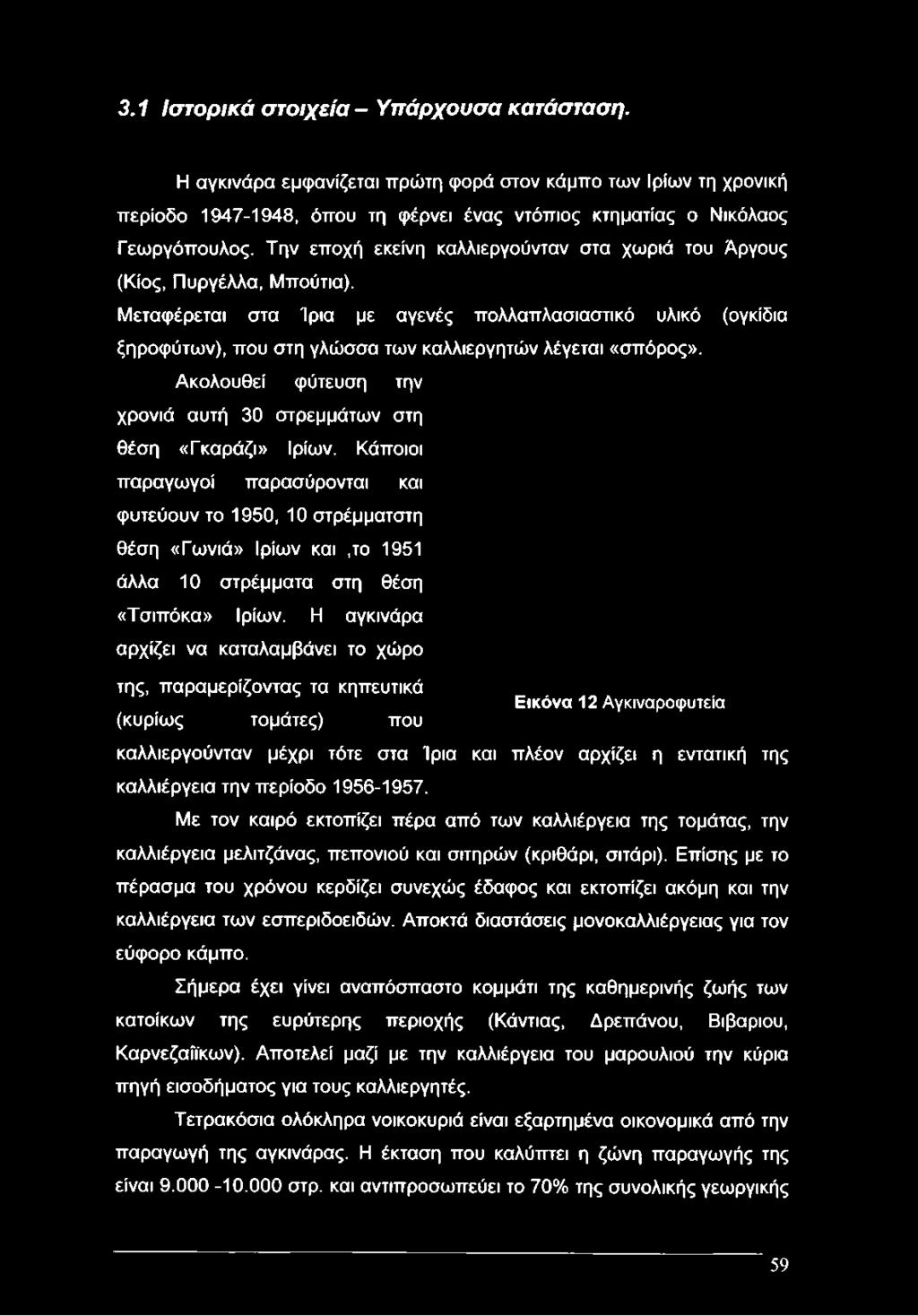 Μεταφέρεται στα Ίρια με αγενές πολλαπλασιαστικό υλικό (ογκίδια ξηροφύτων), που στη γλώσσα των καλλιεργητών λέγεται «σπόρος». Ακολουθεί φύτευση την χρονιά αυτή 30 στρεμμάτων στη θέση «Γκαράζι» Ιρίων.