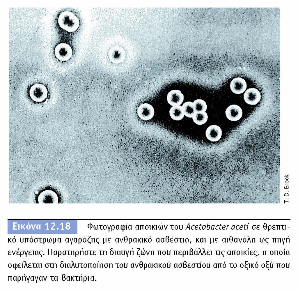 BIOΛOΓIA TΩN MIKPOOPΓANIΣMΩN