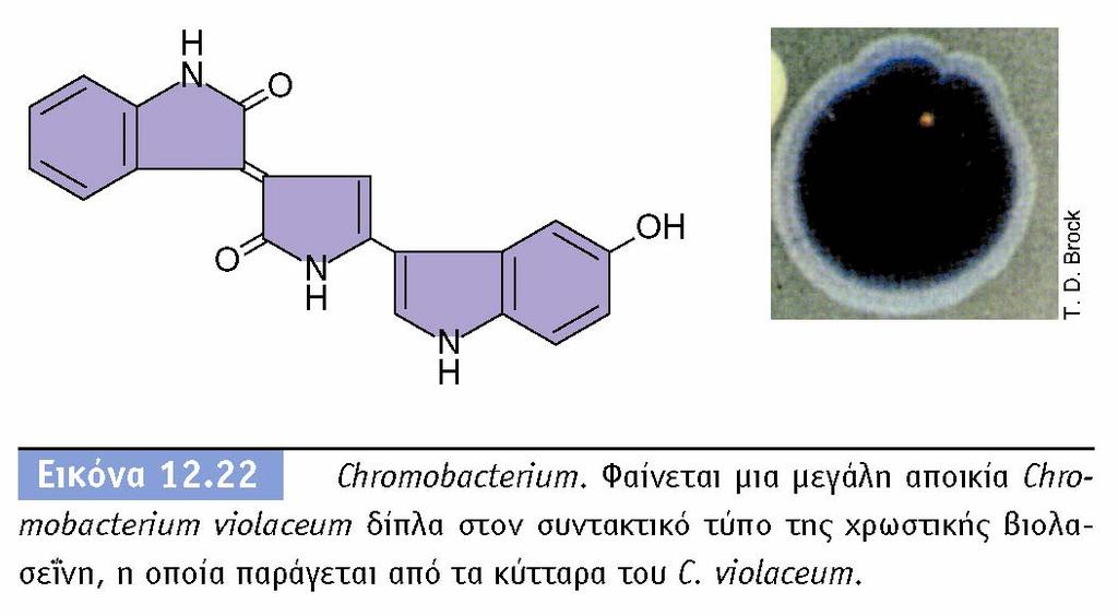 BIOΛOΓIA TΩN MIKPOOPΓANIΣMΩN