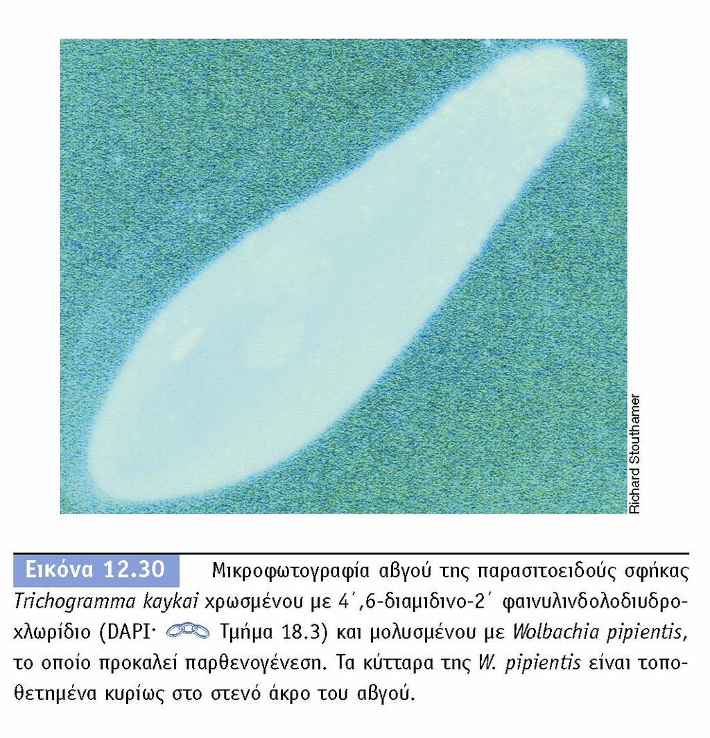 BIOΛOΓIA TΩN MIKPOOPΓANIΣMΩN