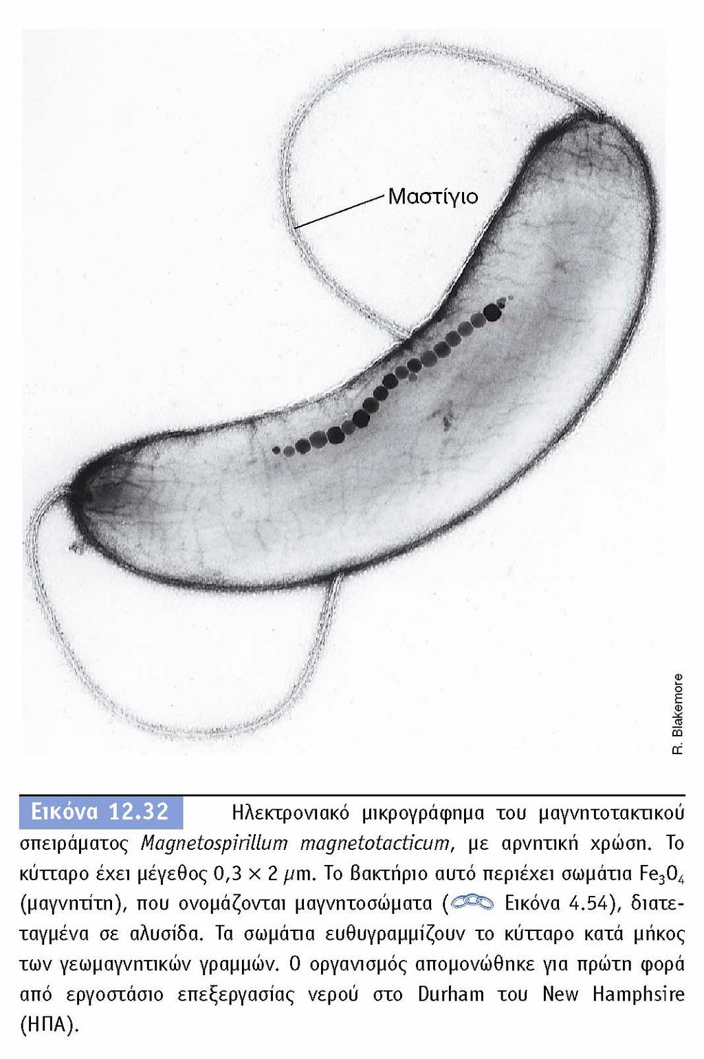 BIOΛOΓIA TΩN MIKPOOPΓANIΣMΩN