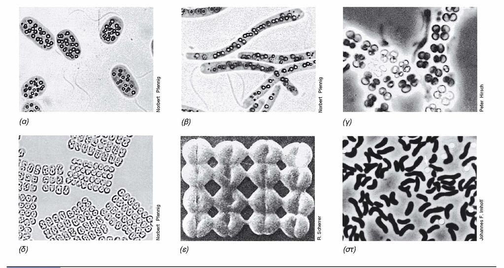 BIOΛOΓIA TΩN