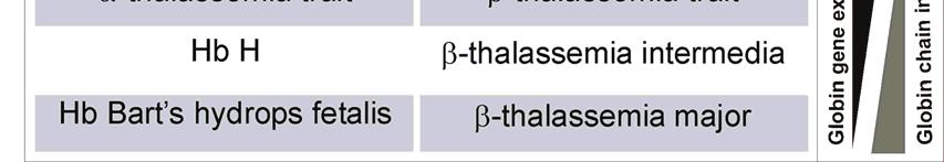 α-μεσογειακή αναιμία: Αναιμία βαρειάς μορφής (Hydrops Fetalis) ή ηπιότερη(hb H).
