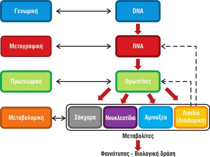 σικές διεργασίες.