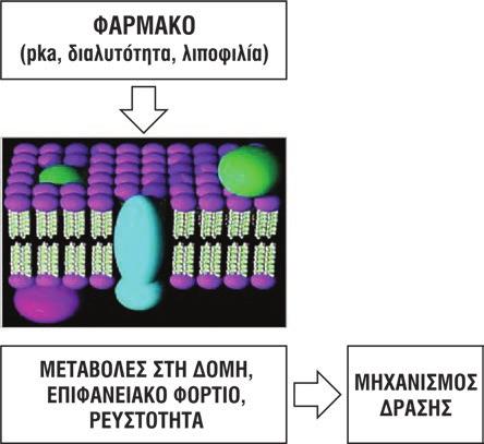 τη λειτουργία των διαμεμβρανικών πρωτεϊνών υπεύθυνων για τη μετάδοση σήματος οι οποίες τελικά σχετίζονται με το μηχανισμό σε μοριακό επίπεδο της δράσης ή των ανεπιθύμητων ενεργειών του φαρμάκου