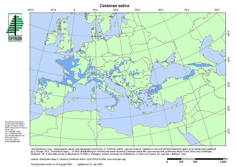 Επιπτώσεις 3 διαφορετικών διαχειριστικών πρακτικών στην καστανιά Έγινε σύγκριση 3 διαφορετικών διαχειριστικών συστημάτων σε δάση καστανιάς