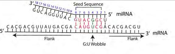 (Wu et al., 2006; Mashima et al., 2008).