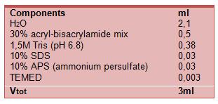 3.6. Ανοσοαποτύπωση πρωτεϊνών (Western blotting) SDS-PAGE Για το διαχωρισμό των πρωτεϊνών των υπό ανάλυση δειγμάτων, πραγματοποιήθηκε ηλεκτροφόρηση SDS-PAGE σε πήκτωμα πολυακριλαμιδίου δύο φάσεων