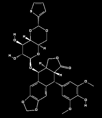ςξ έμζσμξ καςά ςη ρύμθερή ςξσ DNA αμαρςέλλξσμ ςημ