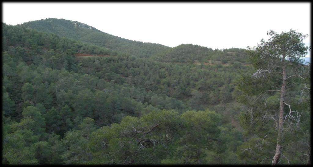 ΕΤΟΙΜΑΣΙΑ ΣΤΟΧΩΝ ΔΙΑΤΗΡΗΣΗΣ & ΔΙΑΧΕΙΡΙΣΤΙΚΩΝ ΣΧΕΔΙΩΝ ΓΙΑ ΤΙΣ ΖΩΝΕΣ ΕΙΔΙΚΗΣ ΠΡΟΣΤΑΣΙΑΣ (ΖΕΠ) ΠΟΥ ΕΧΟΥΝ ΚΑΘΟΡΙΣΤΕΙ ΣΤΗΝ ΚΥΠΡΟ ΣΥΜΦΩΝΑ ΜΕ ΤΗΝ ΟΔΗΓΙΑ