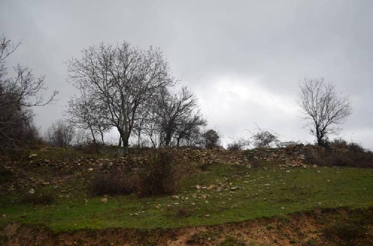 Εικόνα 9. Καταγεγραμμένες θέσεις οπωροφόρων στο Εθνικό Πάρκο Βόρειας Πίνδου (ανατολικό τμήμα) 3. Όρη Λεκάνης Στενά Νέστου Οι καταγεγραμμένες θέσεις είναι πολλές σε απόλυτο αριθμό (91 θέσεις σε 77.