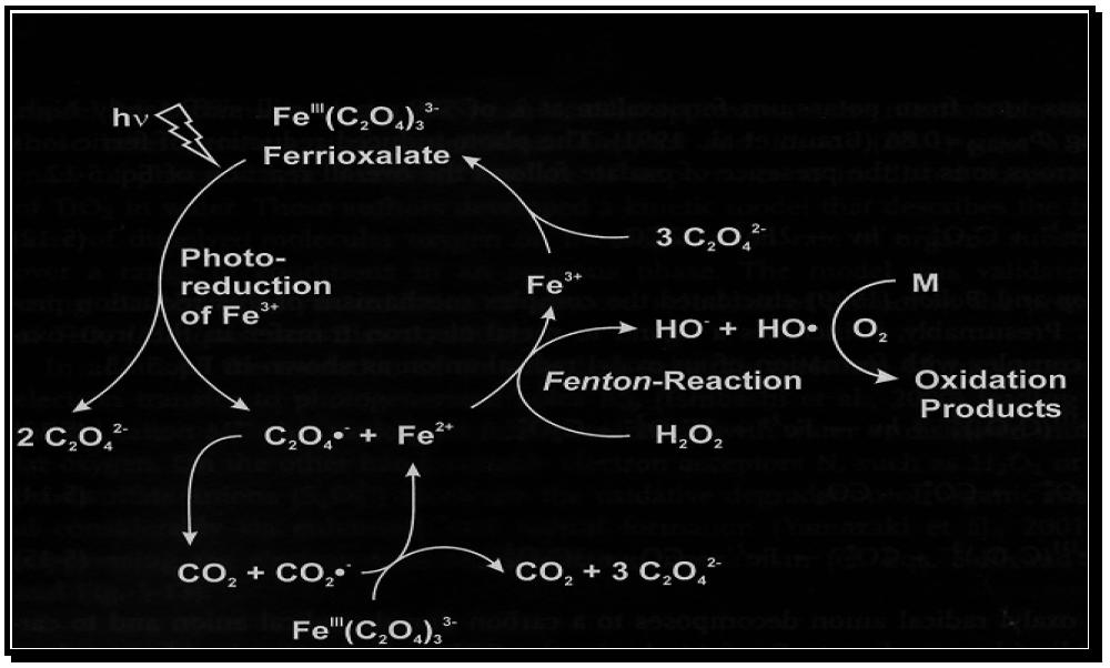 Σχήμα 8: Μηχανιστική παρουσίαση των πιθανών αντιδράσεων που συμμετέχουν στην αντίδραση του τροποποιημένου αντιδραστηρίου Photo-Fenton.
