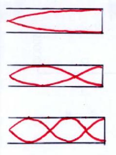 Standing longitudinal waves for tubes with one end closed and the other other open λ =