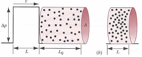 Speed of sound wave At t=0, a sound wave (i.e. air compression) arrives at the boundary of a column of undisturbed gas.