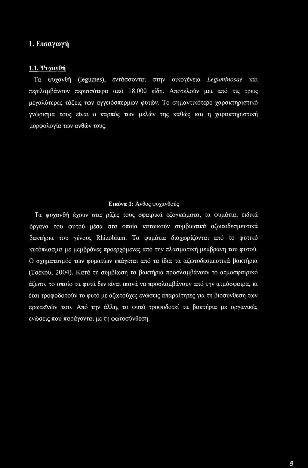 Εικόνα 1: Άνθος ψυχανθούς Τα ψυχανθή έχουν στις ρίζες τους σφαιρικά εξογκώματα, τα φυμάτια, ειδικά όργανα του φυτού μέσα στα οποία κατοικούν συμβιωτικά αζωτοδεσμευτικά βακτήρια του γένους Rhizobium.