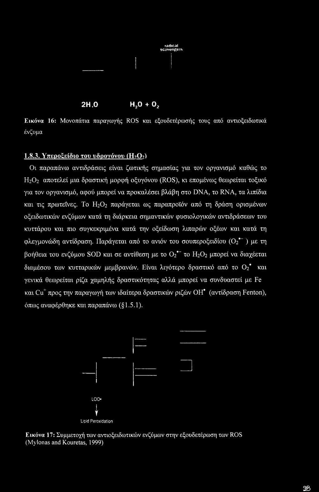 βλάβη στο DNA, το RNA, τα λιπίδια και τις πρωτεΐνες.