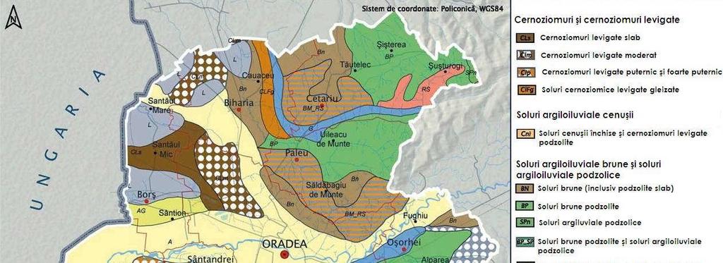 Cele mai reprezentative tipuri de sol care au fost cercetate, identificate, delimitate şi inventariate pe teritoriul judeńului Bihor, conform Sistemului Român de Taxonomie a Solurilor, sunt: litosol