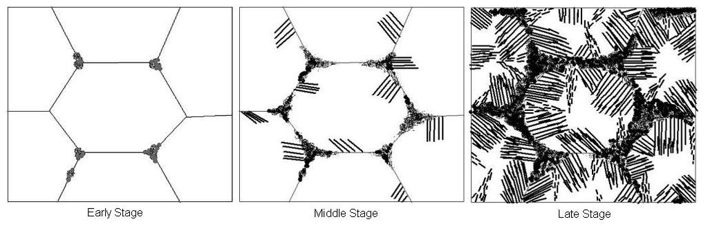 Μικροδομές χάλυβα & ΠτΖ Θεωρούμε αρχική εικόνα μικροδομής χάλυβα που απαρτίζεται από ωστενίτη και μερικούς μόνο πυρήνες φερρίτη.