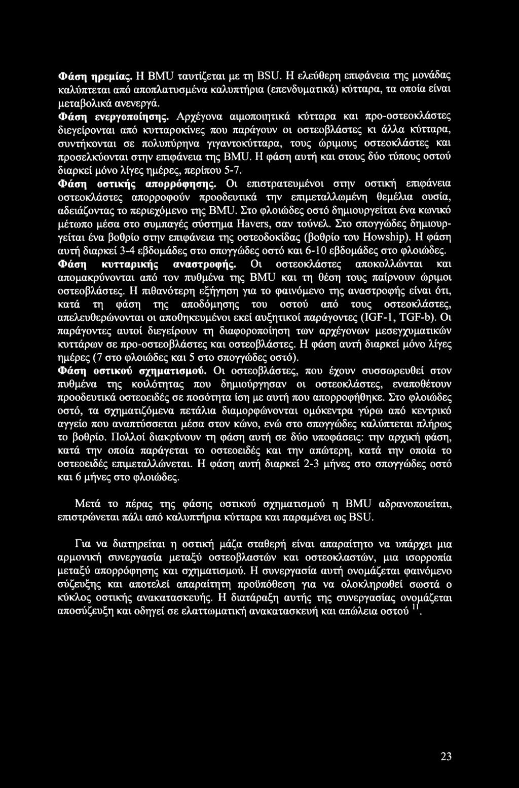 προσελκύονται στην επιφάνεια της BMU. Η φάση αυτή και στους δύο τύπους οστού διαρκεί μόνο λίγες ημέρες, περίπου 5-7. Φάση οστικής απορρόφησης.